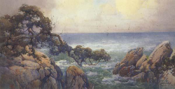 unknow artist Cypress Trees on the Monterey Coast China oil painting art